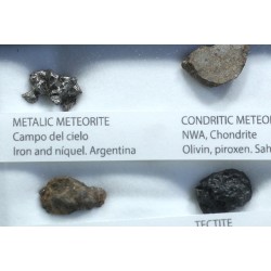 Colección de meteoritos y tectita