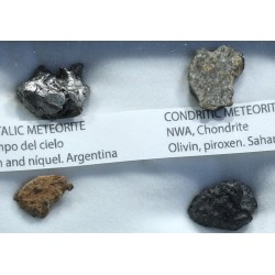 Colección de meteoritos y tectita