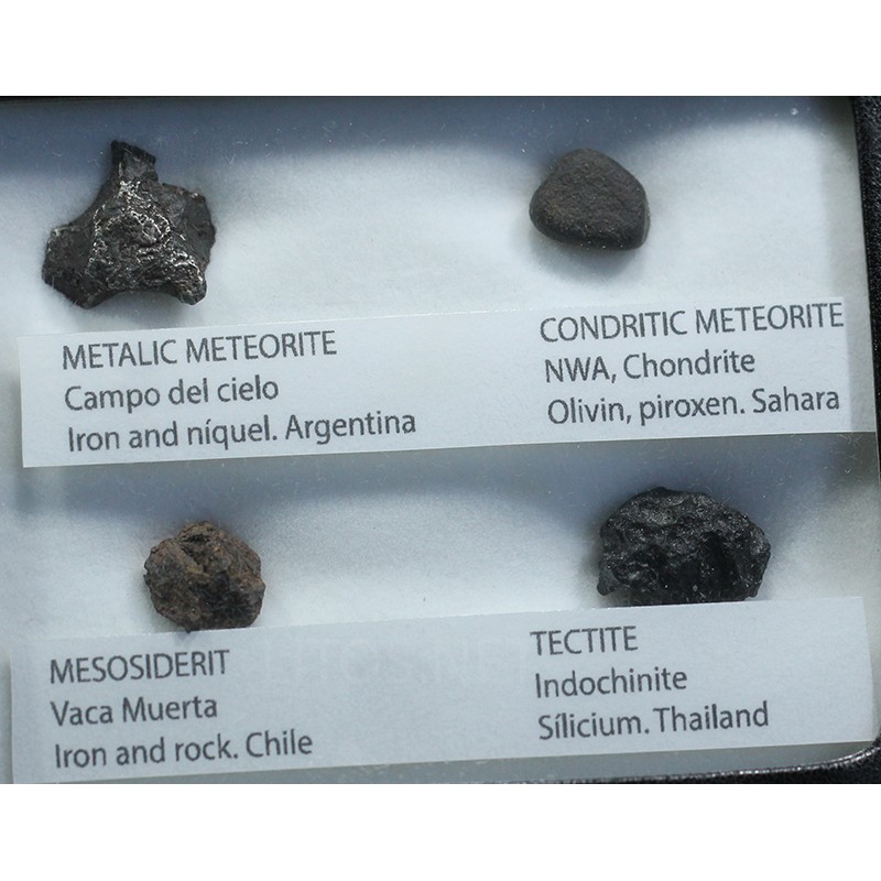 Colección de meteoritos y tectita Colección de meteoritos y tectita