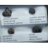 Colección de meteoritos y tectita
