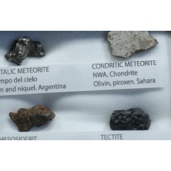 Colección de meteoritos y tectita