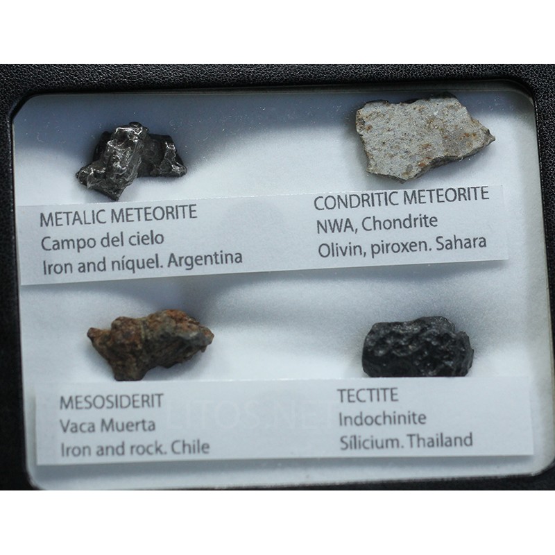 Colección de meteoritos y tectita Colección de meteoritos y tectita