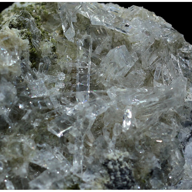Nifontovita