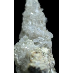 Nifontovita