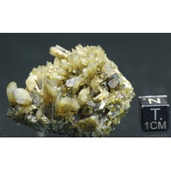 Clinozoisita