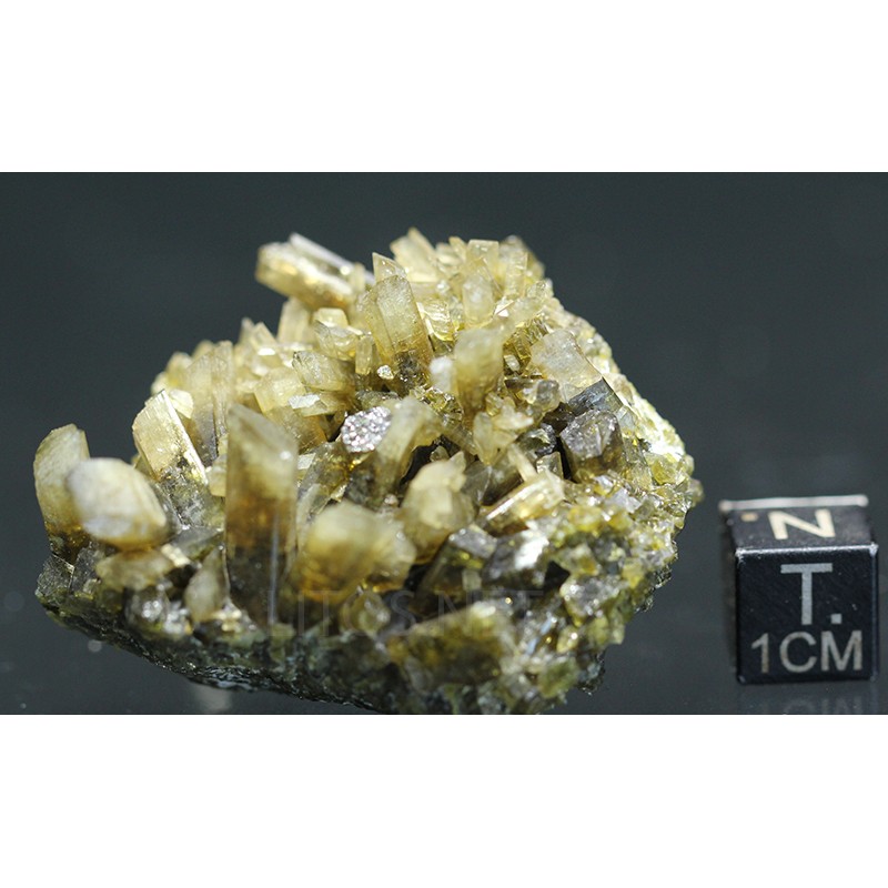 Clinozoisita