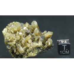 Clinozoisita