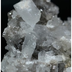 Celestina
