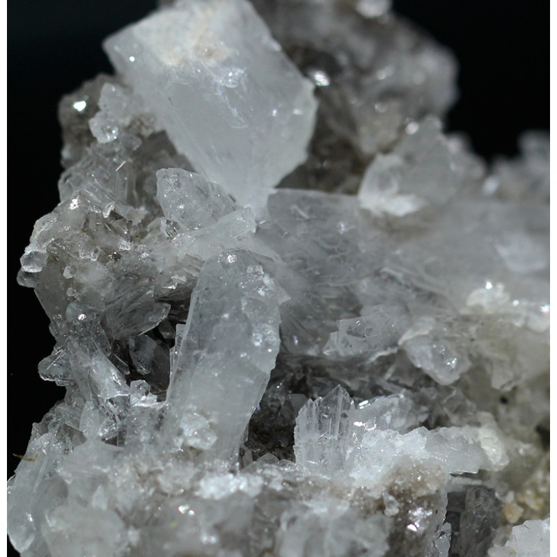 Celestina Celestina