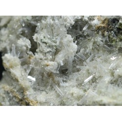 Nifontovita