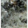 Nifontovita