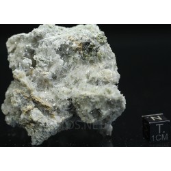Nifontovita