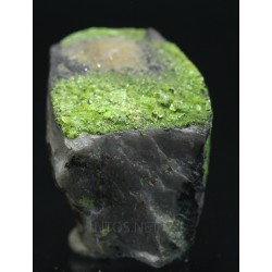 Autunita