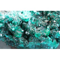Dioptasa
