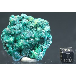 Dioptasa