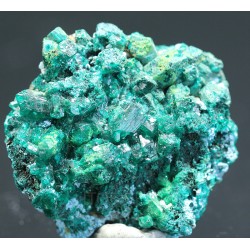 Dioptasa