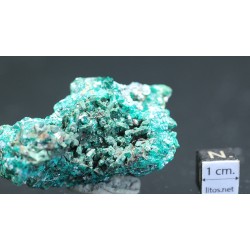 Dioptasa