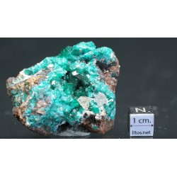 Dioptasa