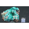 Dioptasa