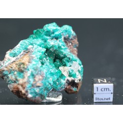 Dioptasa