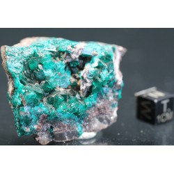 Dioptasa