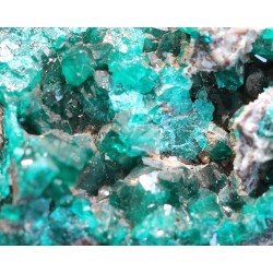 Dioptasa