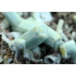 Plumbogummita