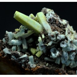 Plumbogummita