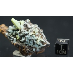 Plumbogummita