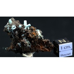 Plumbogummita