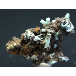 Plumbogummita
