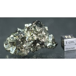 Pirita octaédrica