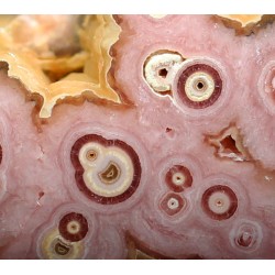 Rodocrosita mineral