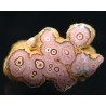 Rodocrosita mineral