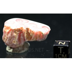 Rodocrosita mineral