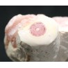 Rodocrosita mineral