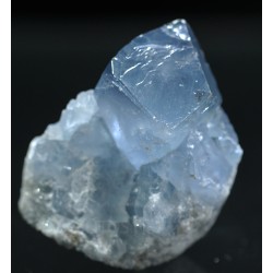 Celestina