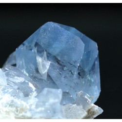 Celestina