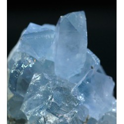 Celestina