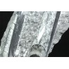 Orthoceras michelinoceras s.p. fosil