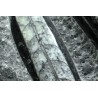 Orthoceras michelinoceras s.p. fosil