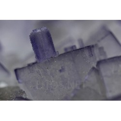 Fluorita