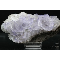 Fluorita