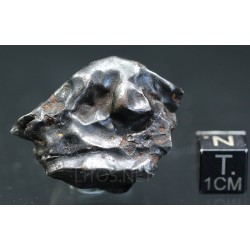 Meteorito Sikhote Alin Rusia
