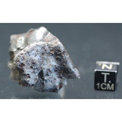 Meteorito Sikhote Alin Rusia