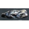 Meteorito Sikhote Alin Rusia