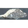 Meteorito NWA-7454