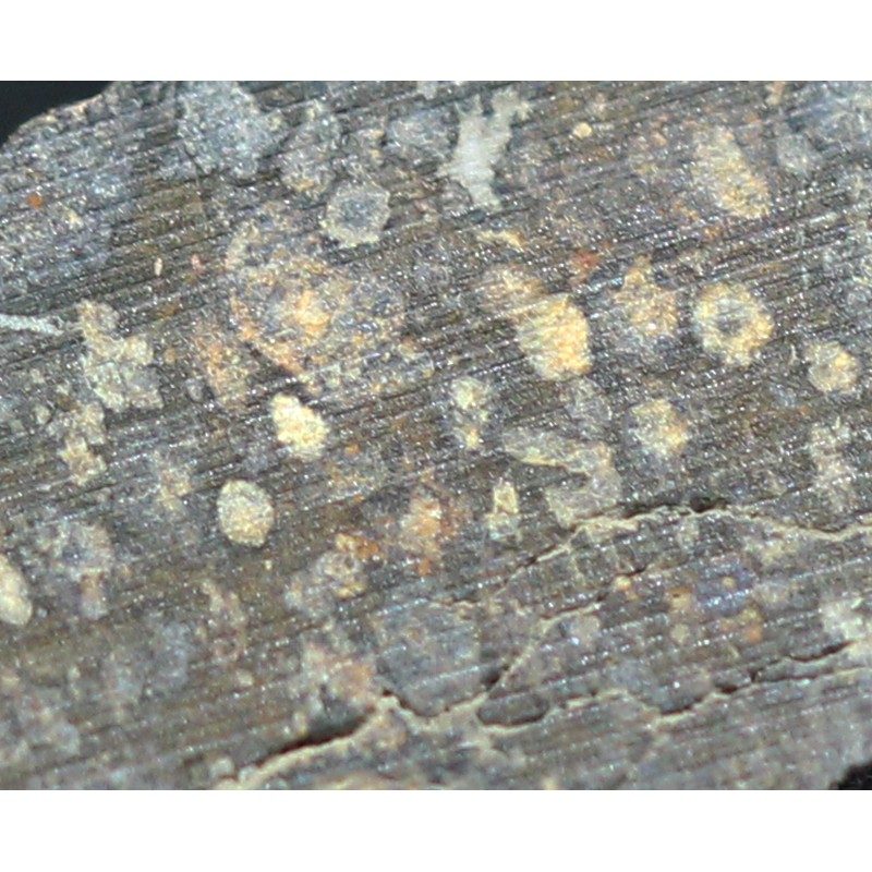 Meteorito NWA-7454
