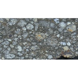 Meteorito NWA-7454