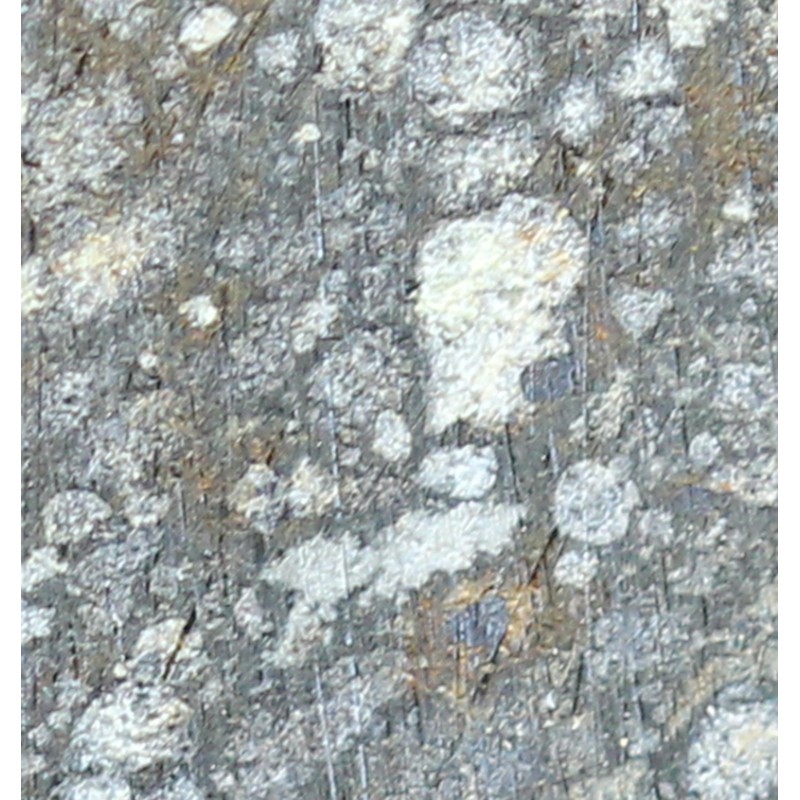 Meteorito NWA-7454 Meteorito NWA-7454